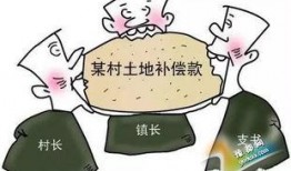 农村纠纷爆料案例范文最新,从矛盾爆发到和谐解决